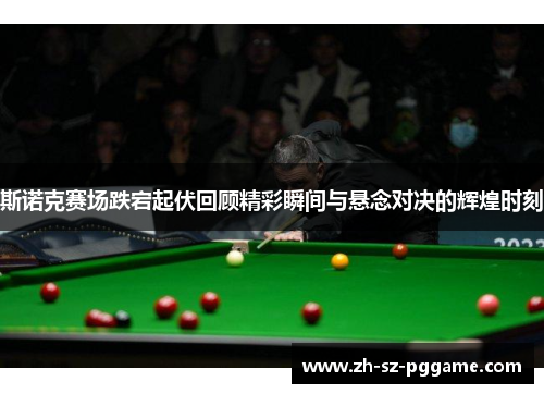 斯诺克赛场跌宕起伏回顾精彩瞬间与悬念对决的辉煌时刻
