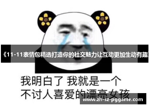 《11-11表情包精选打造你的社交魅力让互动更加生动有趣》