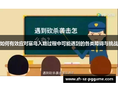如何有效应对塞鸟入籍过程中可能遇到的各类障碍与挑战