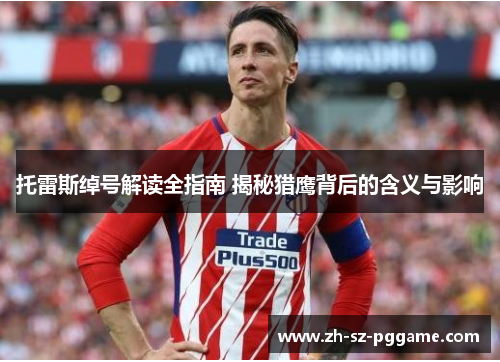 托雷斯绰号解读全指南 揭秘猎鹰背后的含义与影响