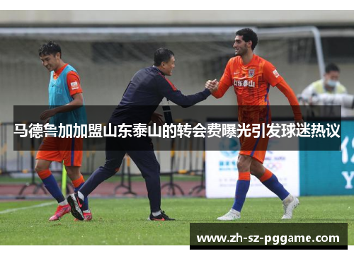马德鲁加加盟山东泰山的转会费曝光引发球迷热议