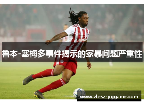 鲁本-塞梅多事件揭示的家暴问题严重性