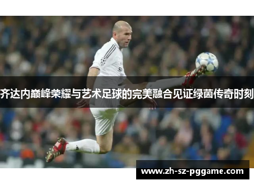 齐达内巅峰荣耀与艺术足球的完美融合见证绿茵传奇时刻