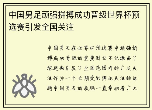 中国男足顽强拼搏成功晋级世界杯预选赛引发全国关注