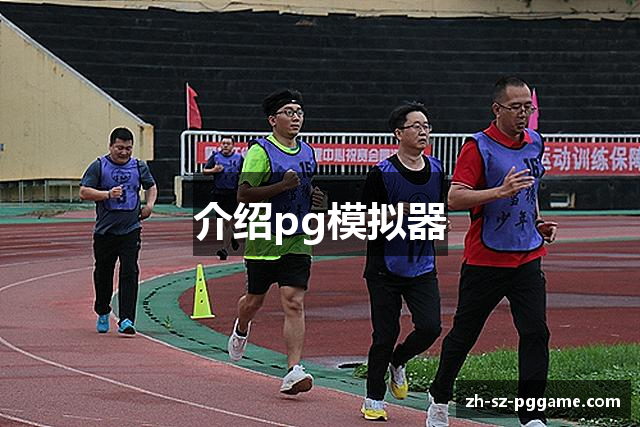 介绍pg模拟器